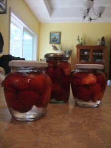 Prep for Winter - Freezing Berries